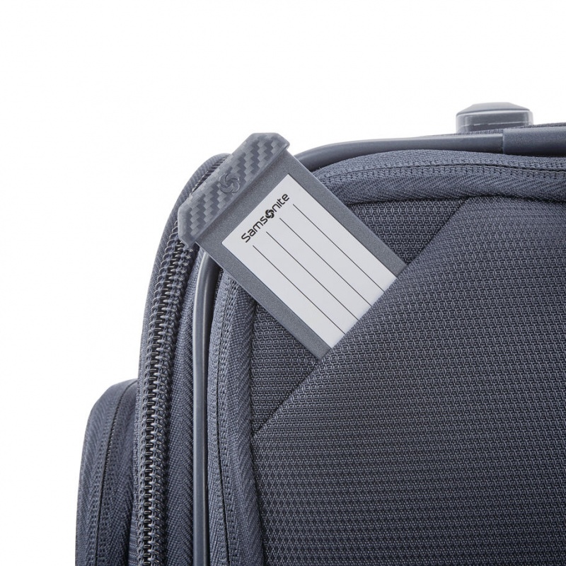 Samsonite Ascentra Wheeled Underseater Koffers Koffers Grijs | 285930-GNB